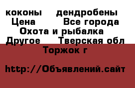 коконы    дендробены › Цена ­ 25 - Все города Охота и рыбалка » Другое   . Тверская обл.,Торжок г.